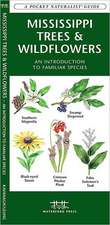 Mississippi Trees & Wildflowers: An Introduction to Familiar Species