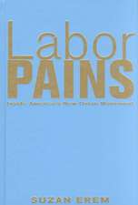 Labor Pains: Stories from Inside America's New Union Movement