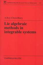 Lie Algebraic Methods in Integrable Systems