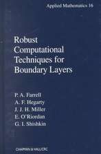 Robust Computational Techniques for Boundary Layers