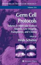 Germ Cell Protocols: Volume 2: Molecular Embryo Analysis, Live Imaging, Transgenesis, and Cloning