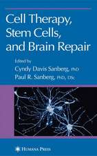 Cell Therapy, Stem Cells and Brain Repair