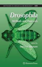 Drosophila