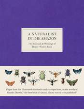 A Naturalist in the Amazon