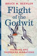 Flight of the Godwit