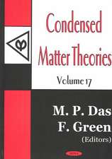 Condensed Matter Theories, Volume 17