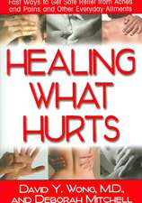 Healing What Hurts: Fast Ways to Get Safe Relief from Aches and Pains and Other Everyday Ailments