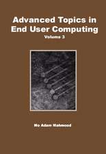 Advanced Topics in End User Computing, Volume 3