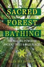 Sacred Forest Bathing