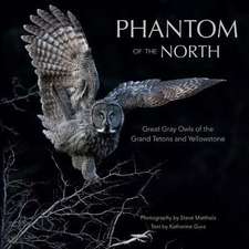 Phantom of the North: Great Gray Owls of the Grand Tetons and Yellowstone