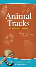 Animal Tracks of the Southwest