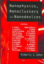 Nanophysics, Nanoclusters and Nanodevices