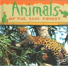 Animals of the Rain Forest