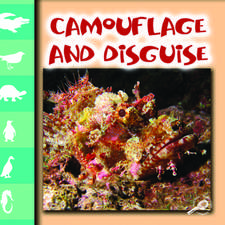 Camouflage and Disguise