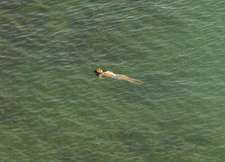 Richard Misrach: The Mysterious Opacity of Other Beings