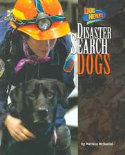 Disaster Search Dogs