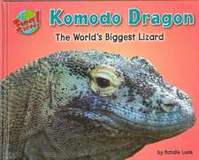 Komodo Dragon: The World's Biggest Lizard