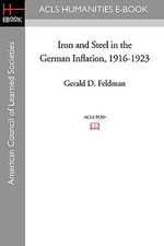 Iron and Steel in the German Inflation, 1916-1923