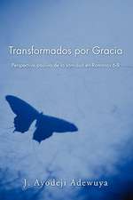 Transformados Por Gracia: Perspectiva Paulina de La Santidad En Romans 6-8