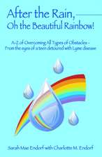 After the Rain, Oh the Beautiful Rainbow!: A-Z of Overcoming All Types of Obstacles