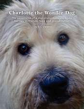 Charlotte the Wonder Dog