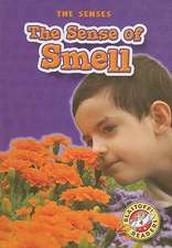 The Sense of Smell