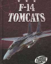 F-14 Tomcats