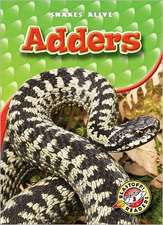 Adders