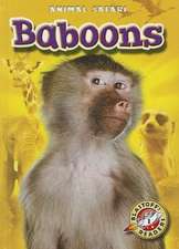 Baboons