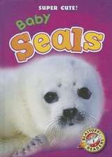 Baby Seals