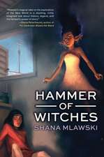 Hammer of Witches