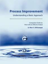 Process Improvement: Understanding a Basic Approach - Companion Guidebook to How to Be an Effective Analyst