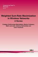 Weighted Sum-Rate Maximization in Wireless Networks: A Review