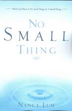 No Small Thing