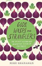 Gods, Wasps and Stranglers