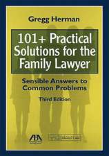 101+ Practical Solutions for the Family Lawyer: Sensible Answers to Common Problems [With CDROM]