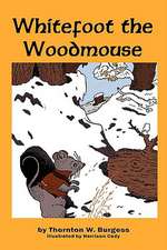 Whitefoot the Woodmouse