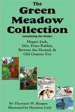 The Green Meadow Collection