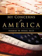 My Concerns For America