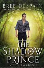 Into the Dark Book #1: The Shadow Prince