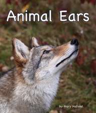 Animal Ears