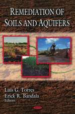 Remediation of Soils and Aquifers