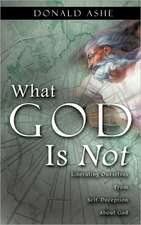 What God Is Not