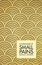 A Catalogue of Small Pains