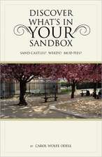 Discover What's in Your Sandbox