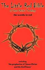 The Little Red Bible of Jesus Christ's Teachings - The Words in Red