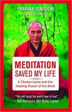 Meditation Saved My Life: A Tibetan Lama and the Healing Power of the Mind