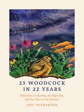 23 Woodcock in 22 Years: Reflections on Hunting, the Night Sky, and Our Place in the Universe