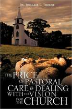 The Price of Pastoral Care and Dealing with the Vision for the Church