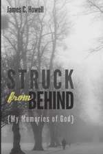 Struck from Behind: My Memories of God